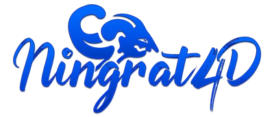 Logo NINGRAT4D